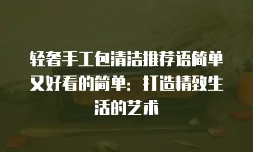轻奢手工包清洁推荐语简单又好看的简单：打造精致生活的艺术