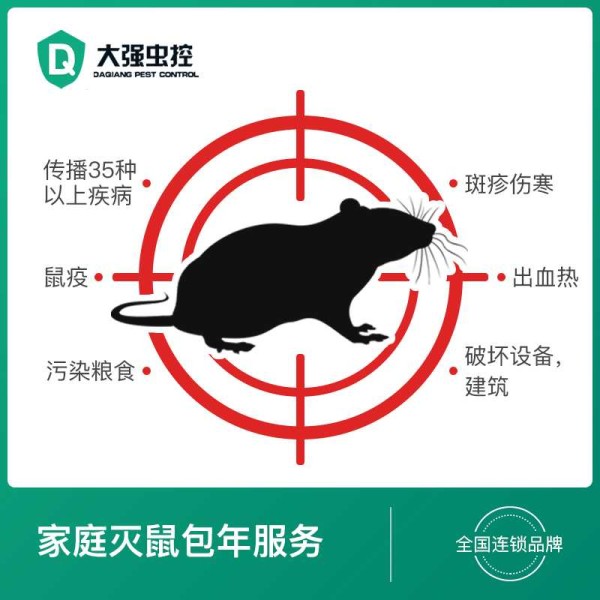 急速上门/源头灭鼠/家庭灭鼠包年服务,安全环保高效/全国连锁