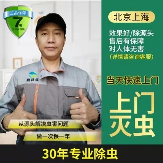 除蟑螂 灭蟑螂 杀蟑螂
