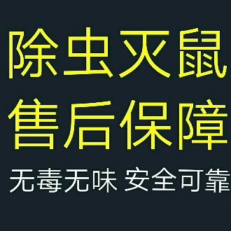 灭老鼠 除蟑螂 灭白蚁 杀虫