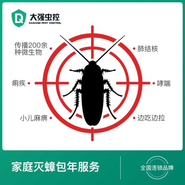 家庭灭蟑螂包年服务 快速高效安全环保除虫杀虫 全国连锁品牌