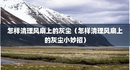 怎样清理风扇上的灰尘（怎样清理风扇上的灰尘小妙招）