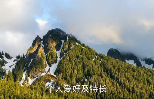 个人爱好及特长