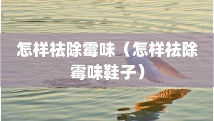 怎样祛除霉味（怎样祛除霉味鞋子）