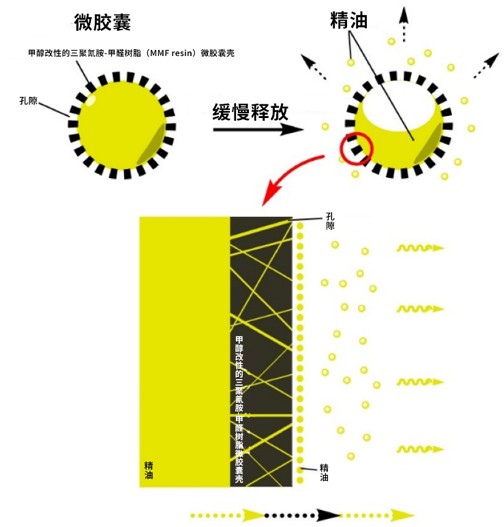 香味通过微胶囊壳孔隙缓慢释放过程的示意图