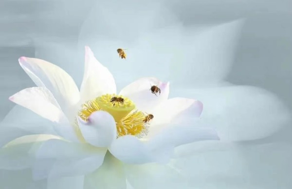 破茧:在“贬低”风暴中守护婚姻与自我