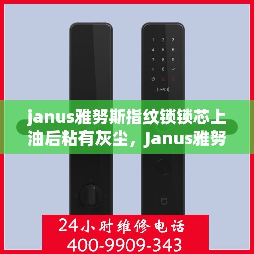 janus雅努斯指纹锁锁芯上油后粘有灰尘，Janus雅努斯指纹锁保养小贴士，锁芯上油后如何清理灰尘？