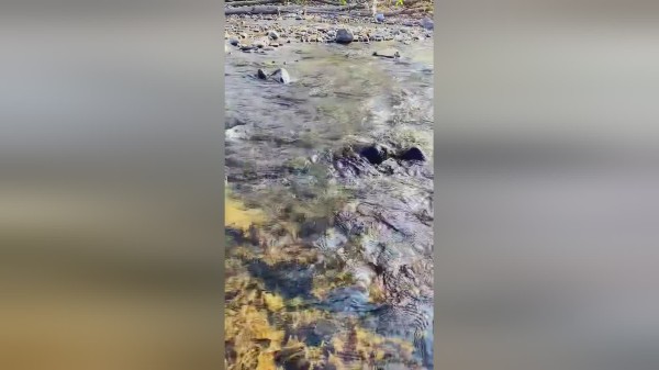 亲近大自然有空多去户外走走聆听大自然的声音