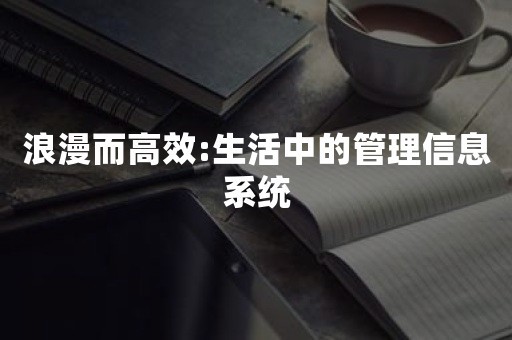 浪漫而高效:生活中的管理信息系统