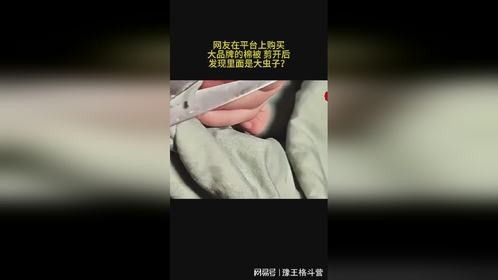 网友在平台上购M大品牌的棉被 剪开后发现里面是大虫子？