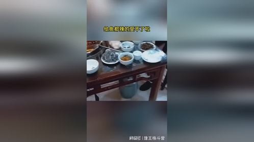 给鱼都辣的受不了啦