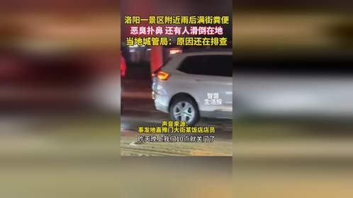 洛阳一景区附近雨后满街粪便，恶臭扑鼻