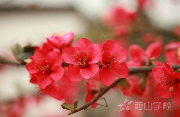 【征文】快乐工作 快乐生活 快乐学习
