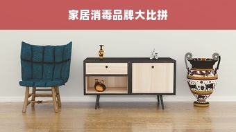家居消毒品牌大比拼