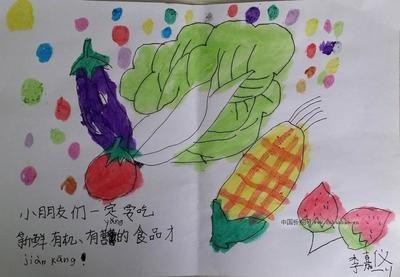 营养膳食与健康手抄报饮食健康手抄报