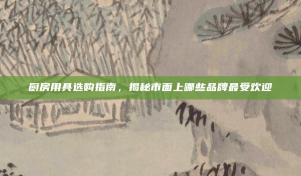 厨房用具选购指南,揭秘市面上哪些品牌最受欢迎