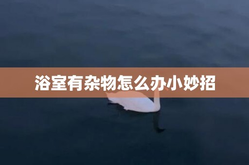浴室有杂物怎么办小妙招