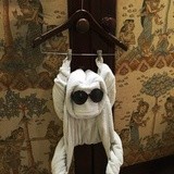 精主