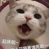皮卡皮卡皮卡丘G