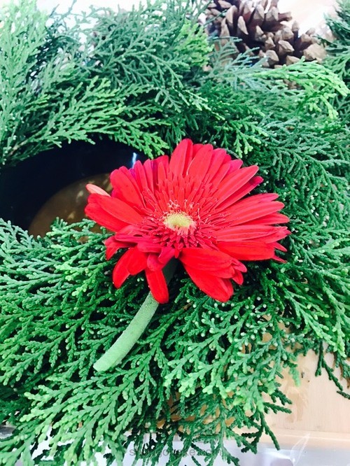 圣诞月必备—美美哒圣诞花环~ 第7步