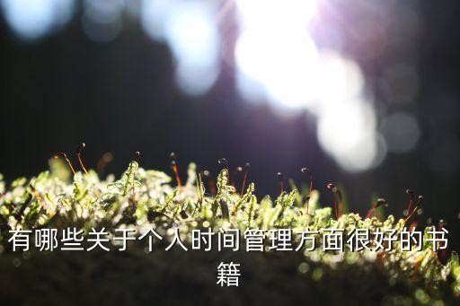 有哪些关于个人时间管理方面很好的书籍