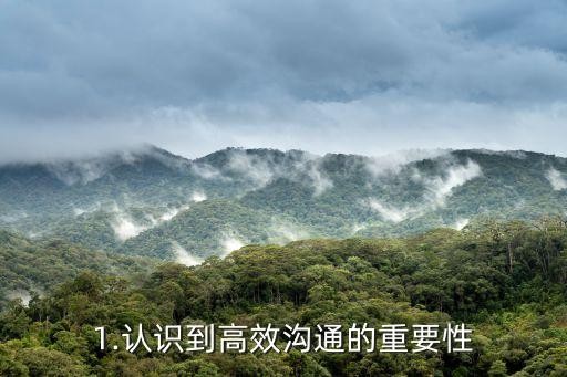1.认识到高效沟通的重要性