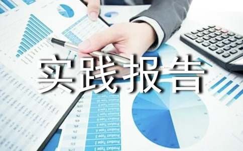 做家务社会实践报告模板