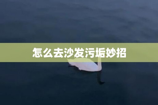 怎么去沙发污垢妙招