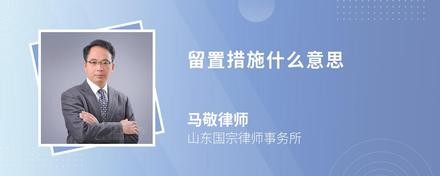 留置措施什么意思