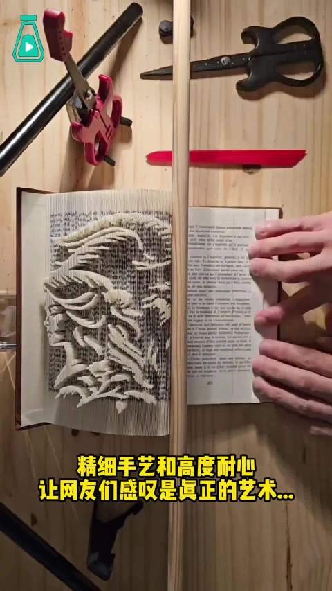精湛手艺将废旧书变成各种立体图案,书页雕刻真是一门艺术!
