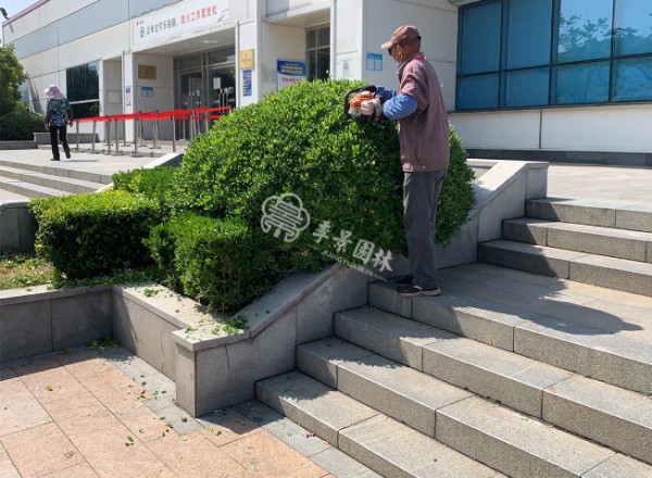江苏节日庆典室内绿植造景,室内绿植造景
