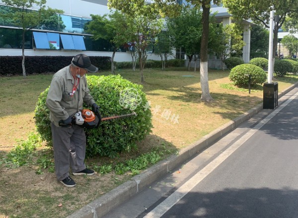 江苏节日庆典室内绿植造景,室内绿植造景
