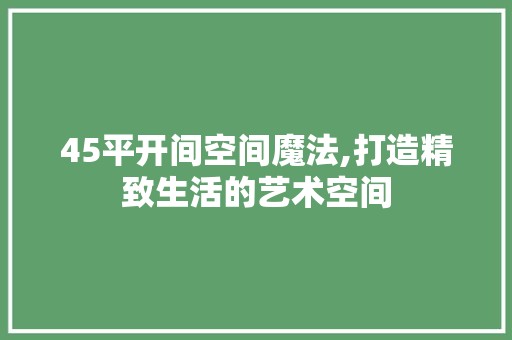 45平开间空间魔法,打造精致生活的艺术空间 客厅装修