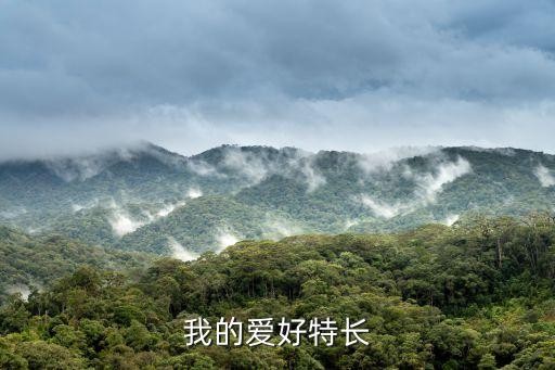 我的爱好特长