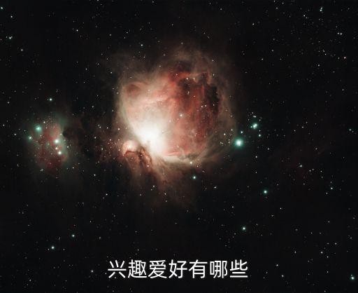 兴趣爱好有哪些