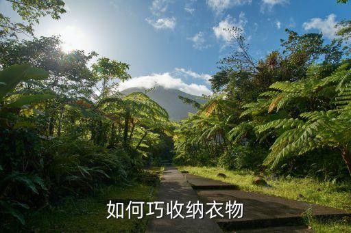 如何巧收纳衣物