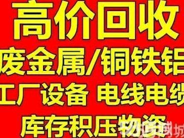 店主头像