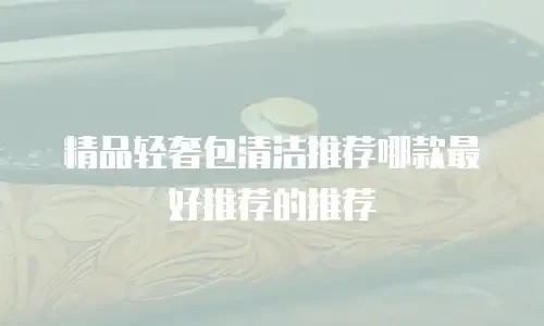 精品轻奢包清洁推荐哪款最好推荐的推荐