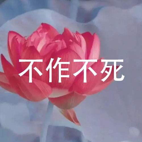 微信头像荷花并配字 荷花头像带字佛系静心