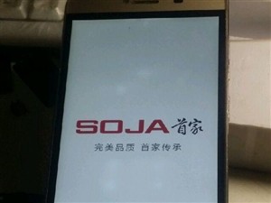 *家 大** T500