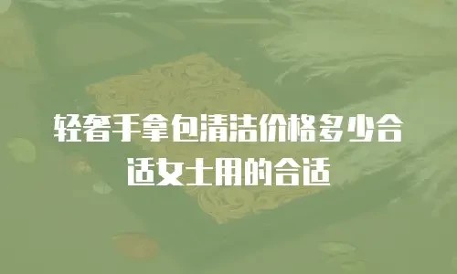 轻奢手拿包清洁价格多少合适女士用的合适