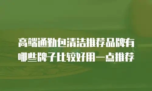 高端通勤包清洁推荐品牌有哪些牌子比较好用一点推荐