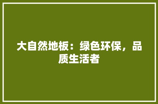 大自然地板：绿色环保，品质生活者 现代风格装饰