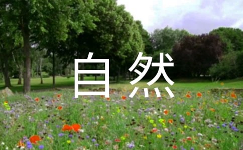 感受大自然-600字