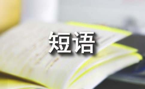 关于追求高品质生活的短语