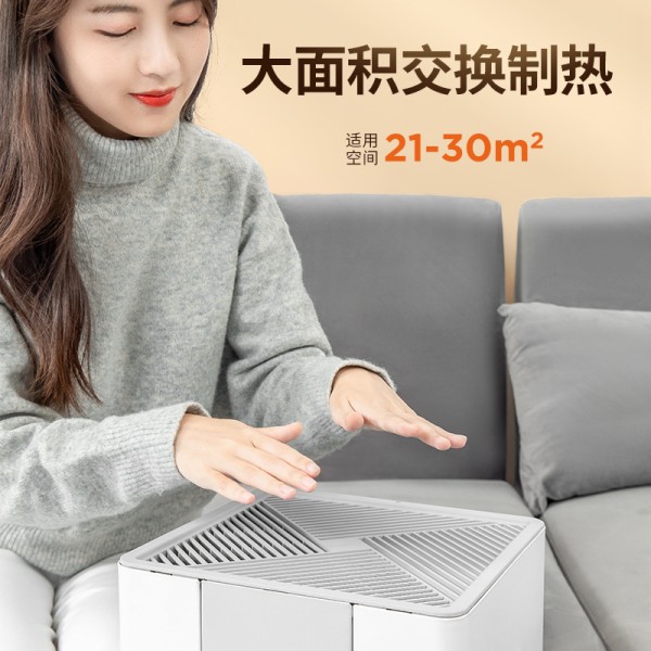 志高(chigo)家用小型办公室电暖气片节能取暖器
