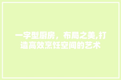 一字型厨房，布局之美,打造高效烹饪空间的艺术 中式