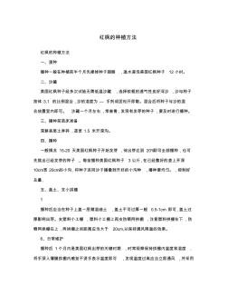 红枫的种植方法