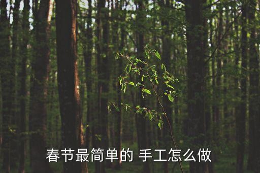 春节最简单的 手工怎么做
