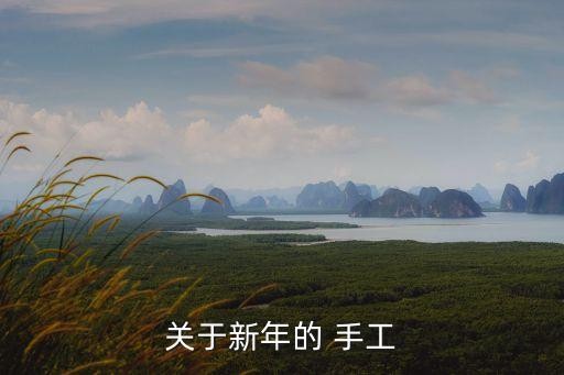 关于新年的 手工